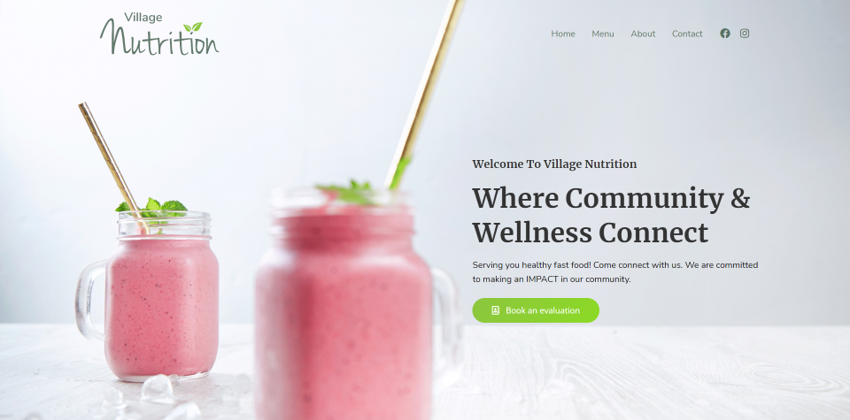 Village Nutrition website screenshot